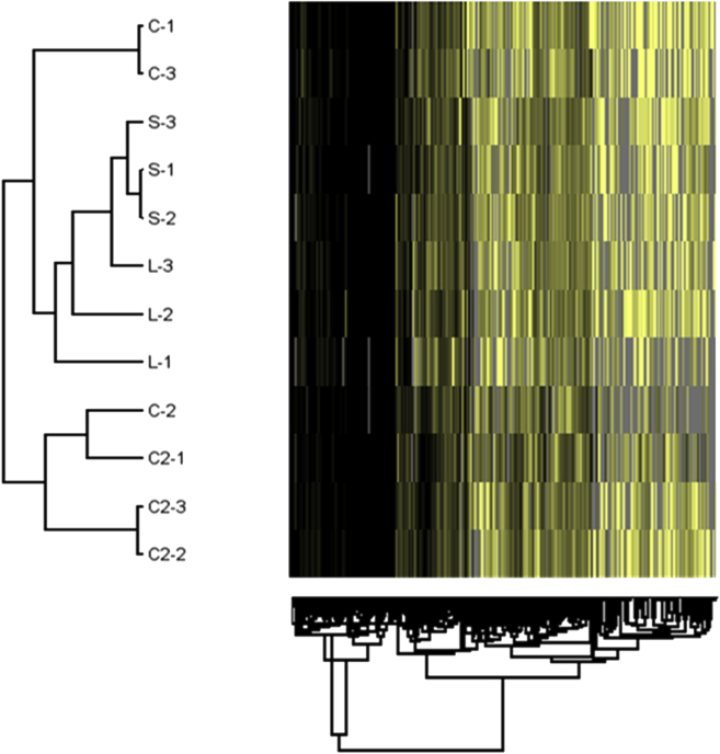 Figure 1