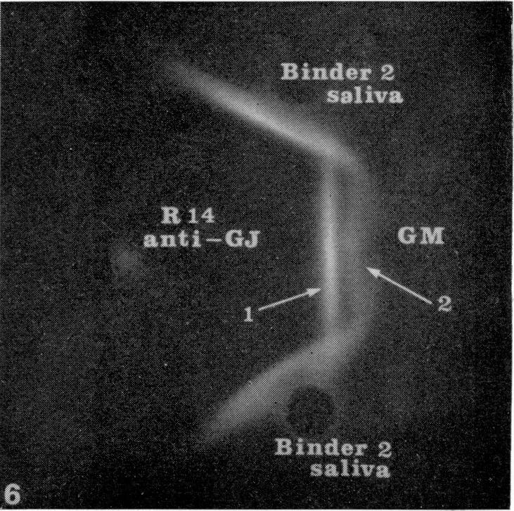 FIG. 6