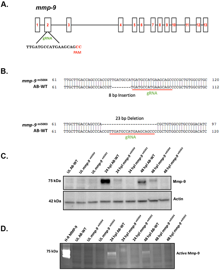 Figure 5: