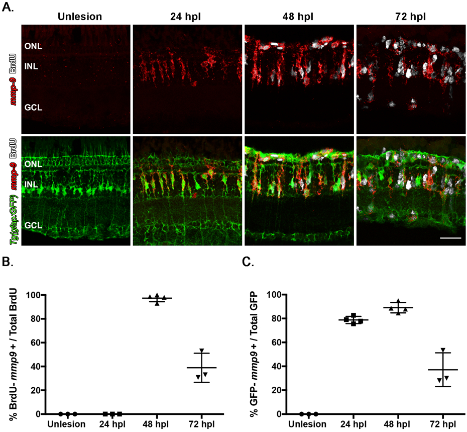 Figure 3: