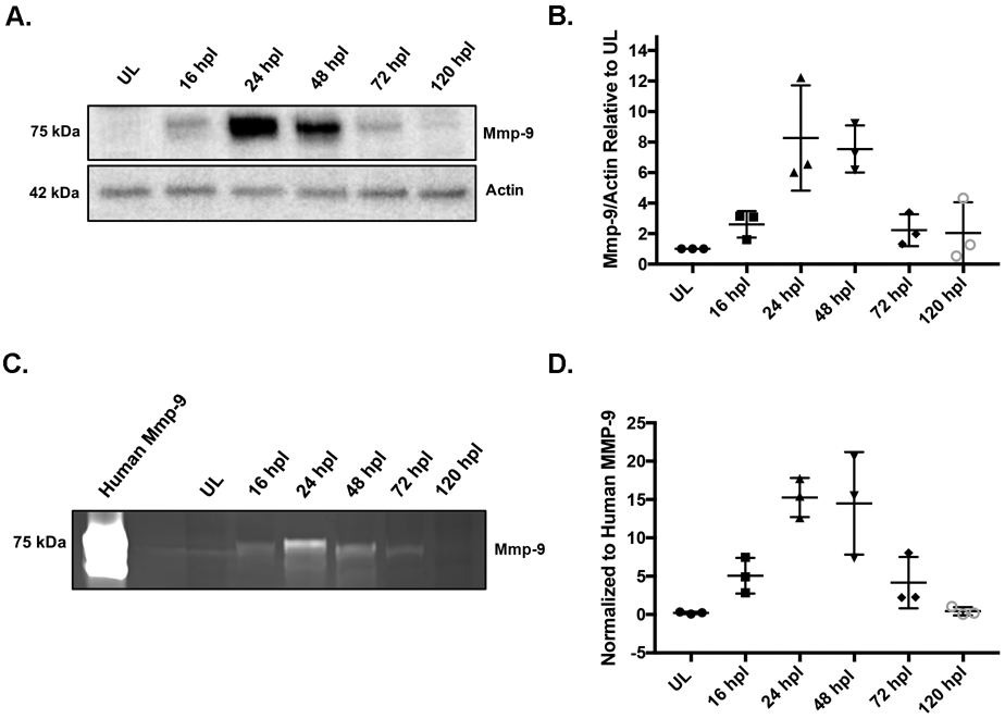 Figure 4: