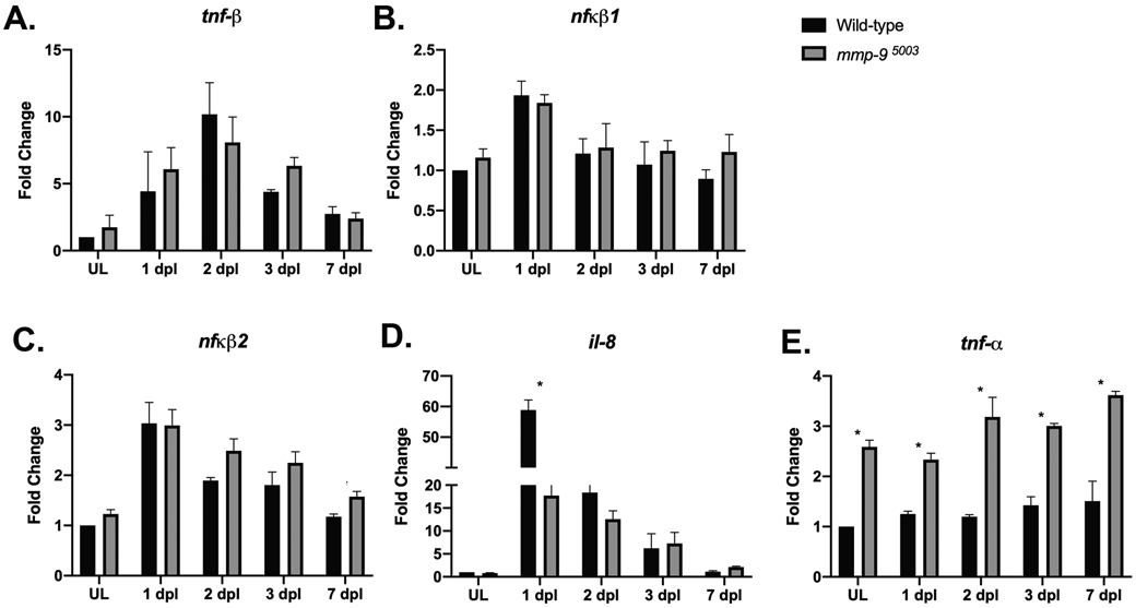 Figure 7: