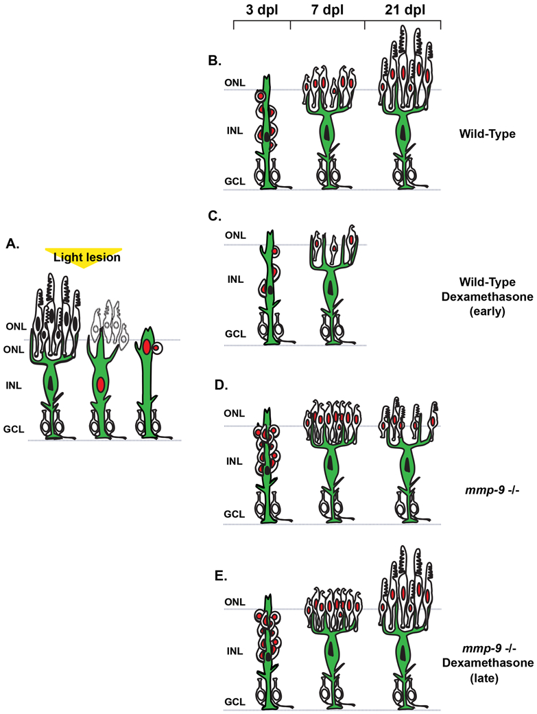 Figure 11.