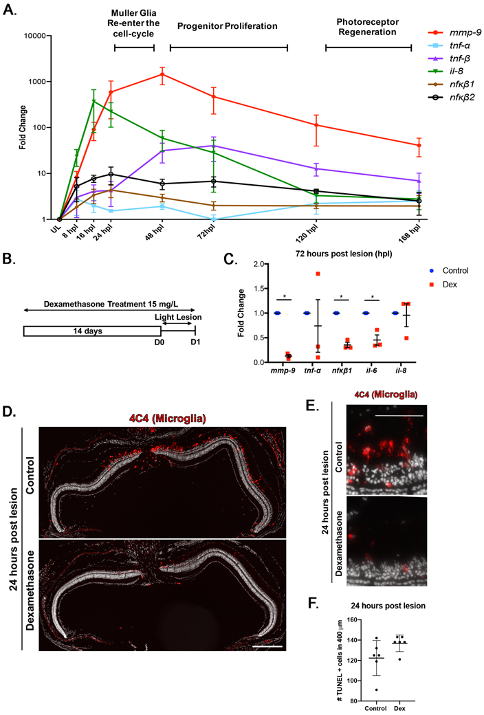 Figure 1: