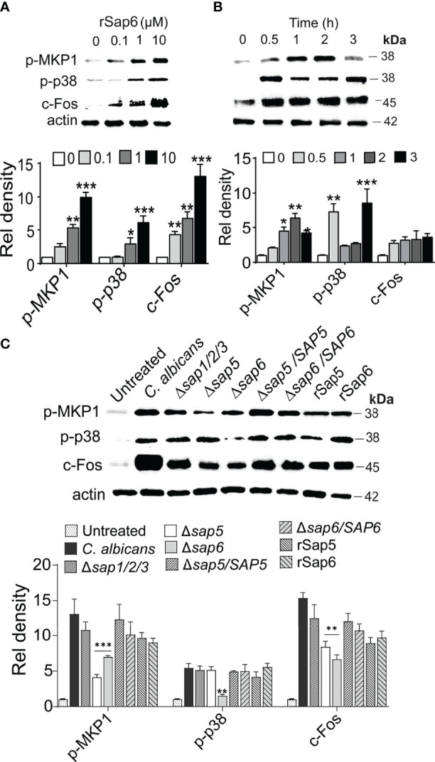 Figure 2