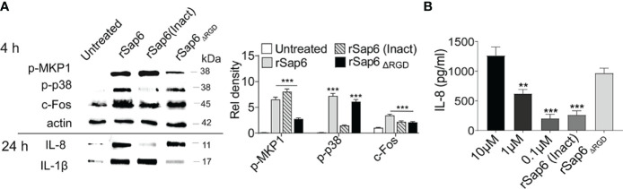 Figure 3