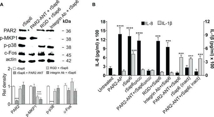 Figure 5