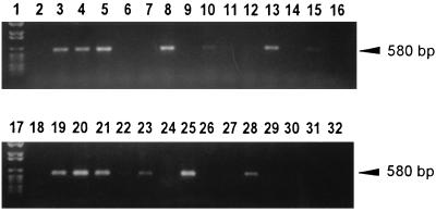 FIG. 3