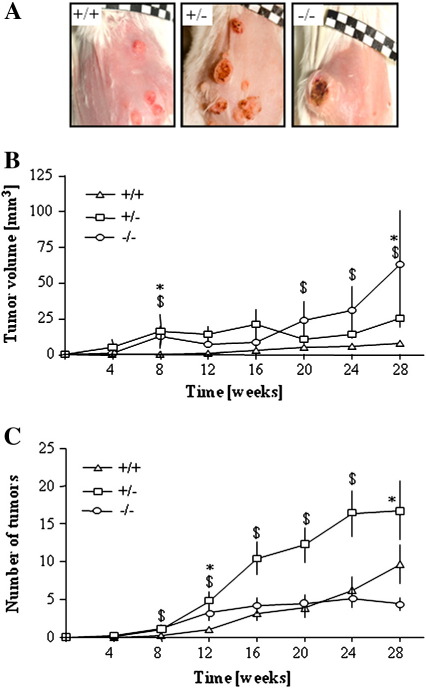 Fig. 3