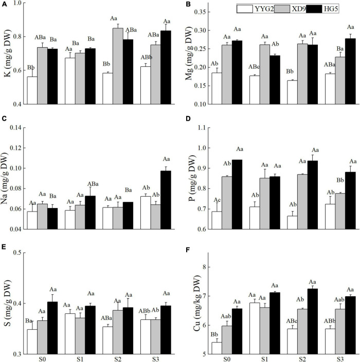 FIGURE 6