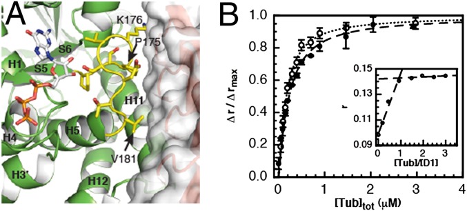 Fig. 3.