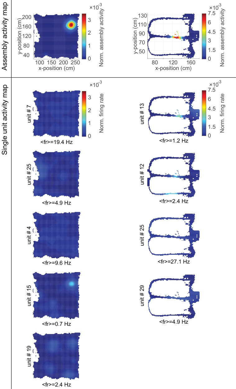 Figure 5—figure supplement 1.