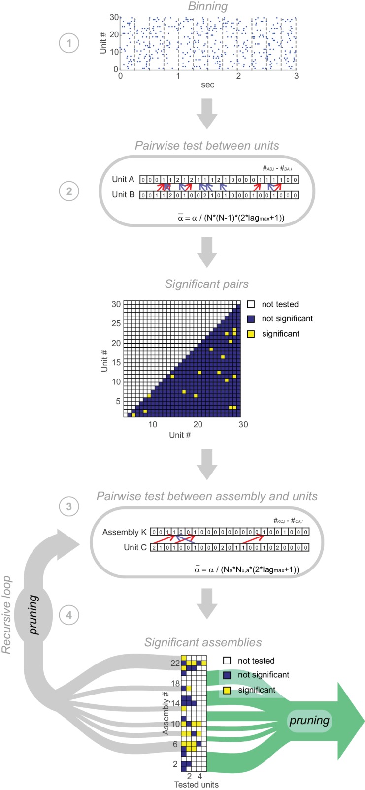 Figure 6—figure supplement 1.