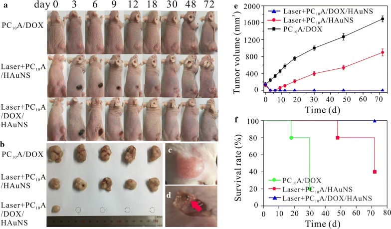 Fig. 10