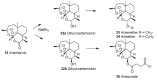 Scheme 3