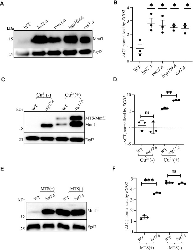 Figure 6.