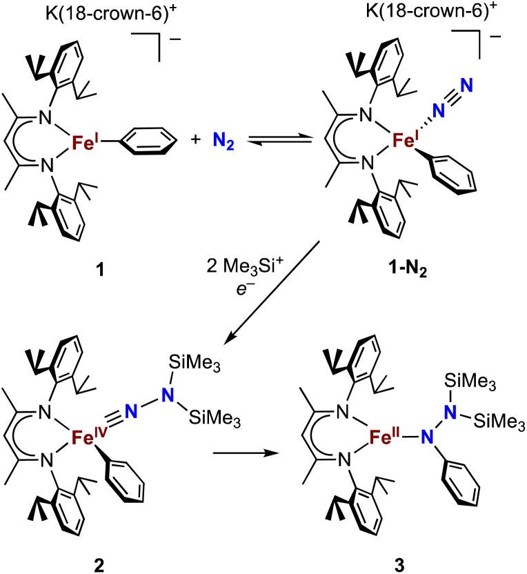 Scheme 1