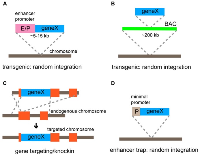 FIGURE 3