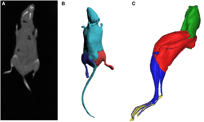 Figure 4