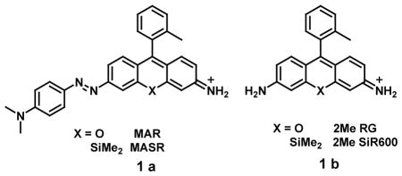 graphic file with name nihms943213u1.jpg