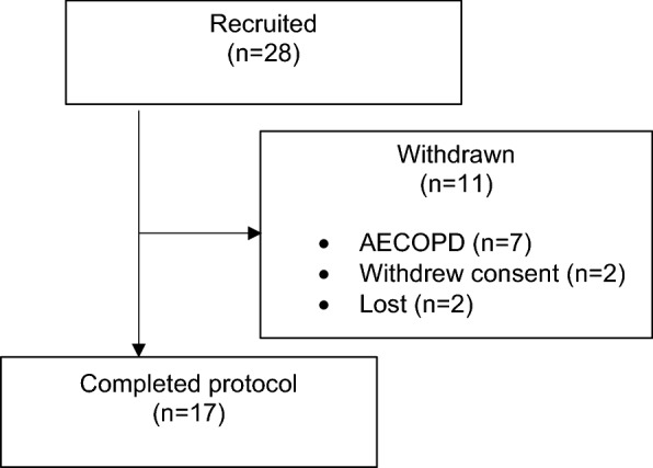 Fig. 1