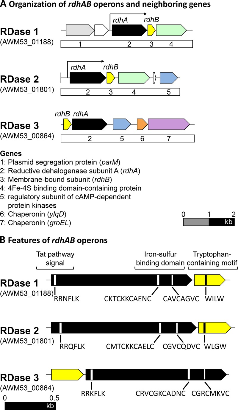 FIG 3