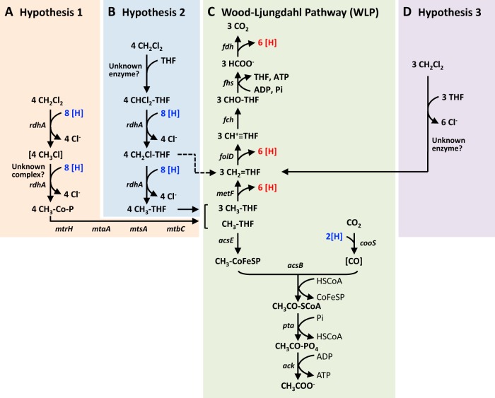 FIG 4