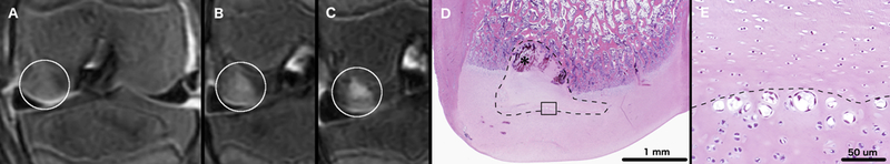 Figure 3: