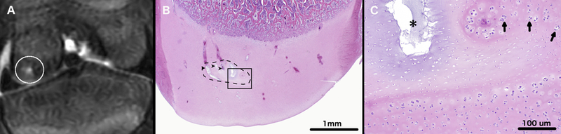 Figure 2: