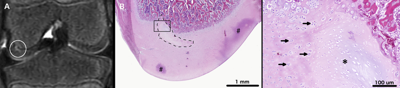 Figure 4: