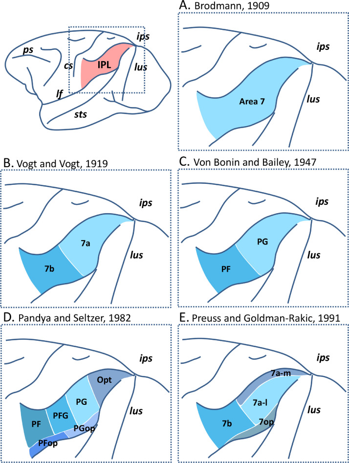 Fig 1