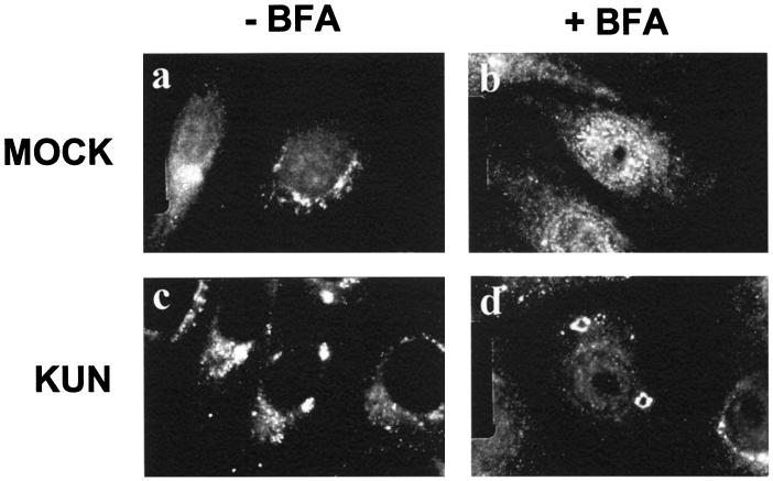 FIG. 8