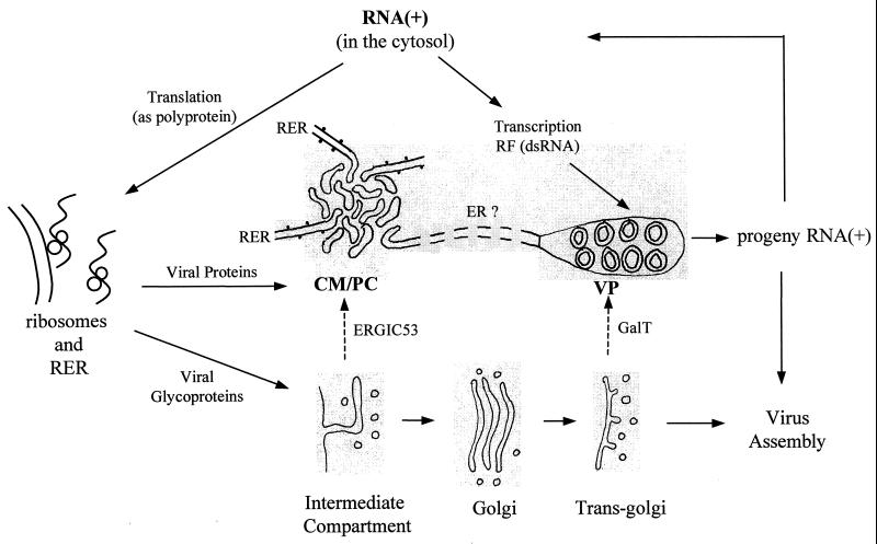 FIG. 9