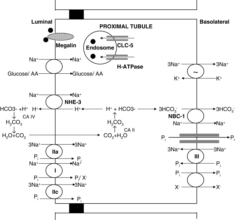 Fig. 1