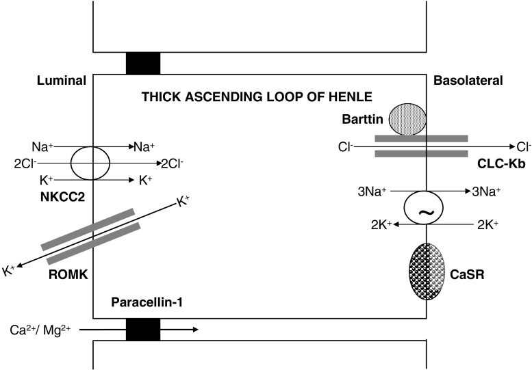 Fig. 2