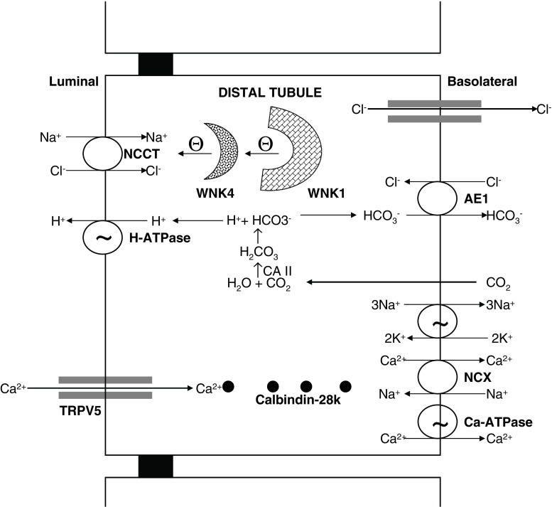 Fig. 3