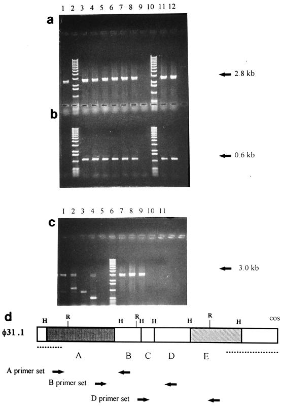 FIG. 6