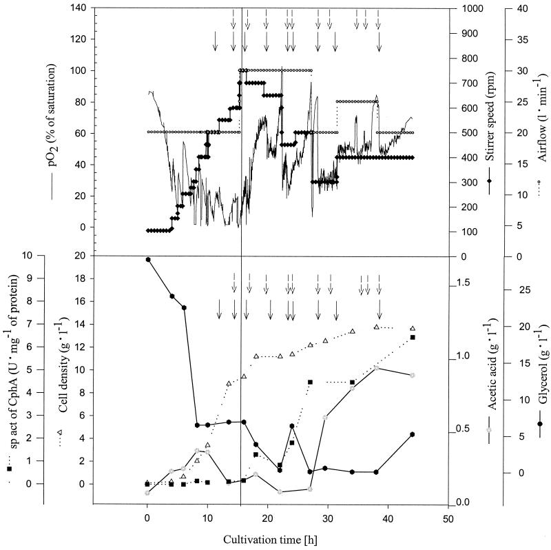 FIG. 2.