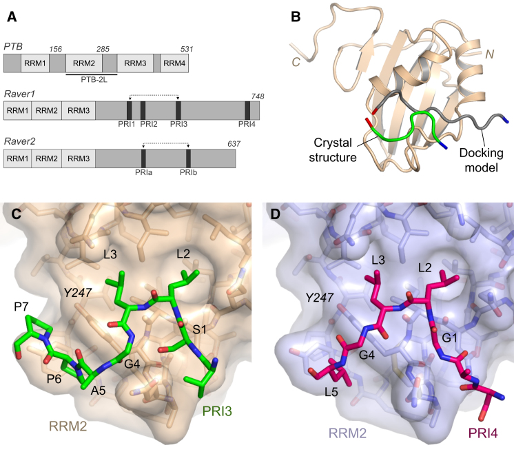 Figure 1