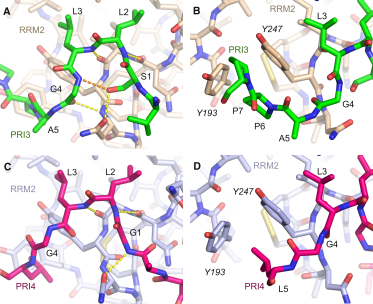 Figure 2