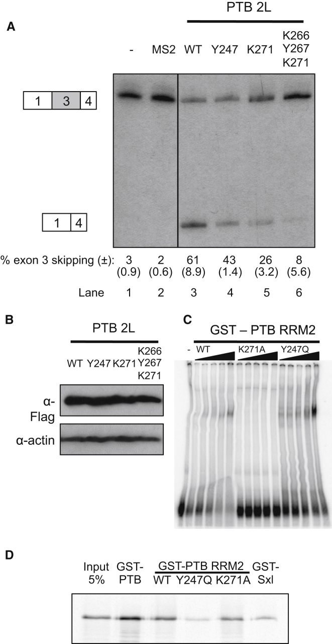 Figure 4