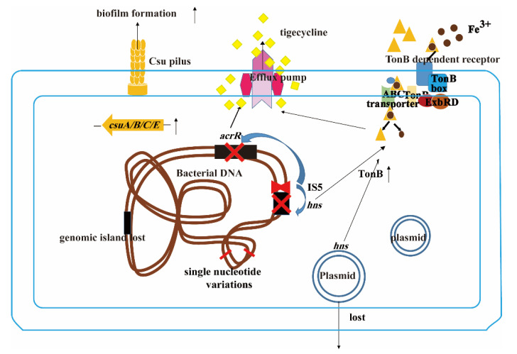 Figure 6