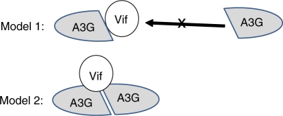 Figure 10.