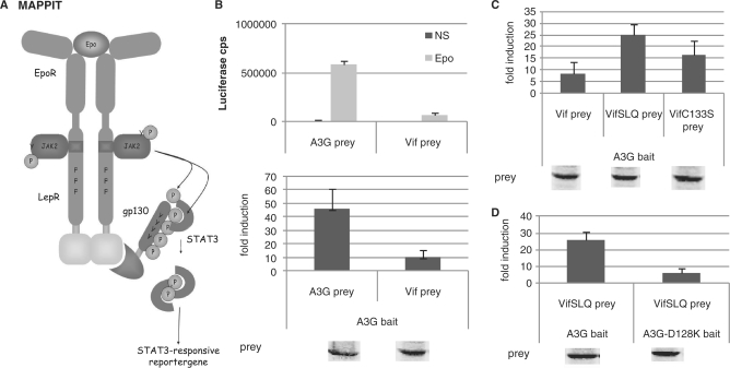 Figure 3.