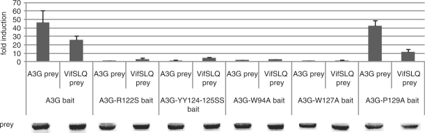 Figure 6.