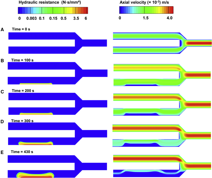 Figure 7