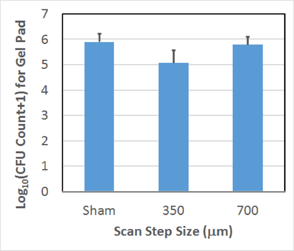 Fig. 8.