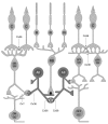 Figure 9.