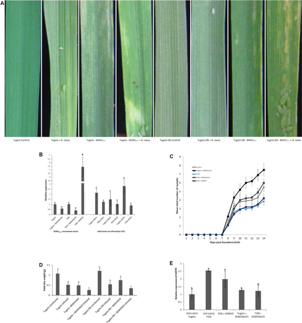 FIGURE 2