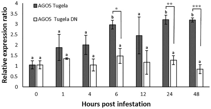 FIGURE 1